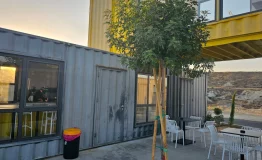 cafe_noe_5_1x